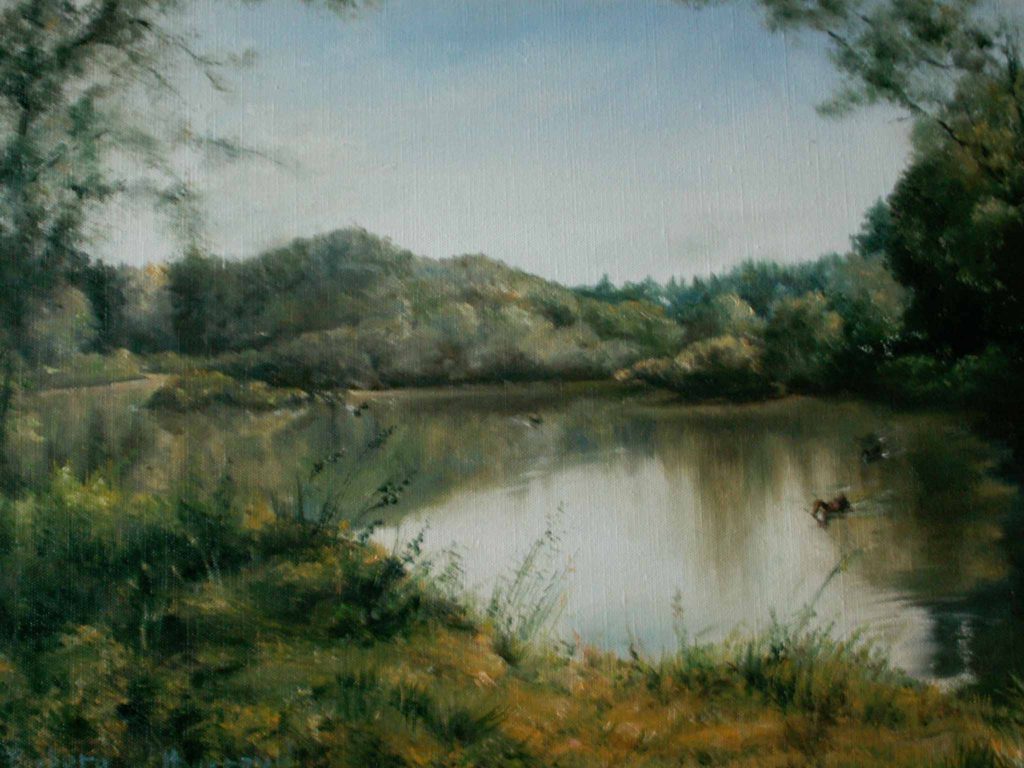 Pond